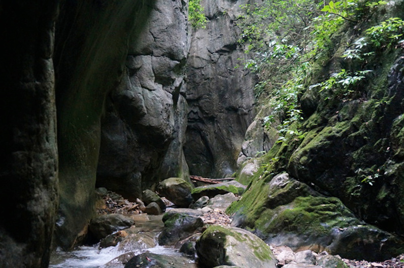 dsc02100_.jpg