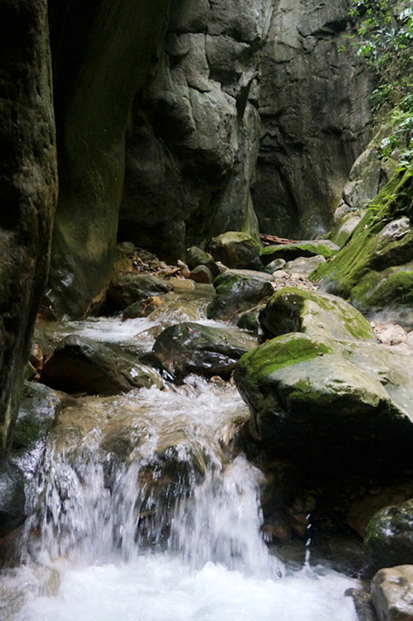 dsc02101_.jpg