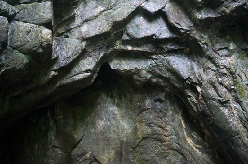 dsc02104_.jpg