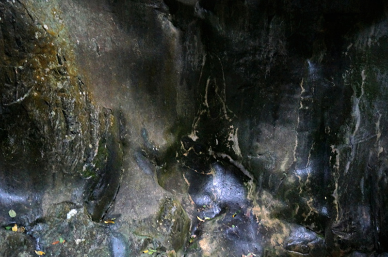 dsc02103_.jpg