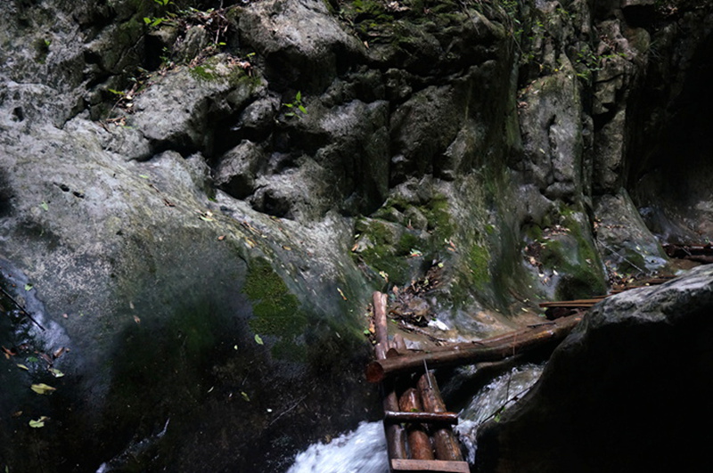 dsc02105_.jpg