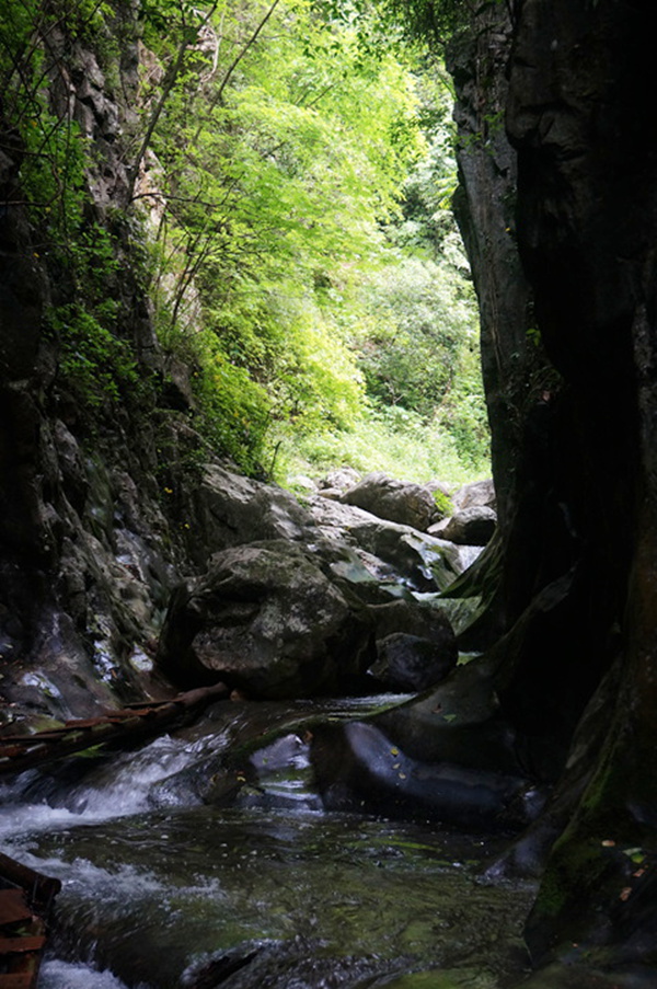 dsc02108_.jpg