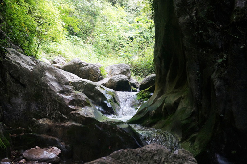 dsc02110_.jpg
