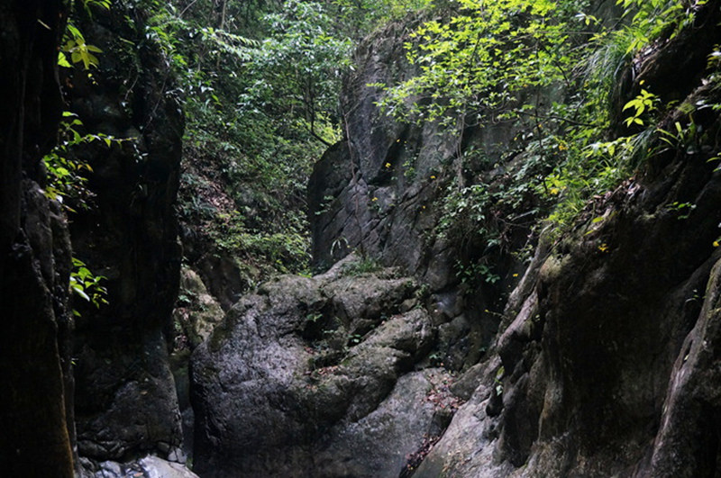 dsc02112_.jpg