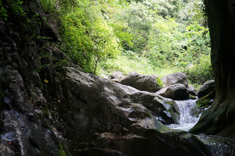 dsc02113_.jpg