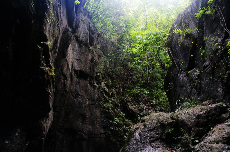 dsc02117_.jpg
