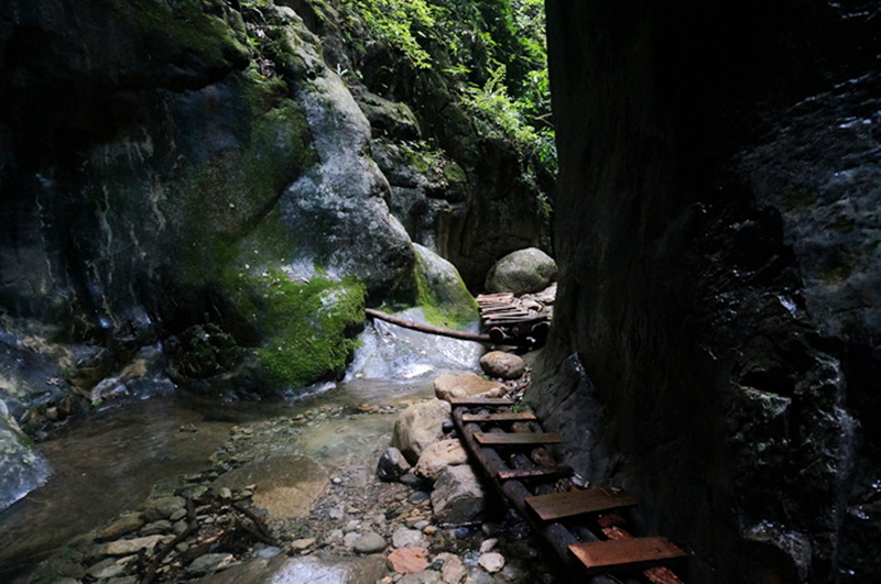 dsc02118_.jpg