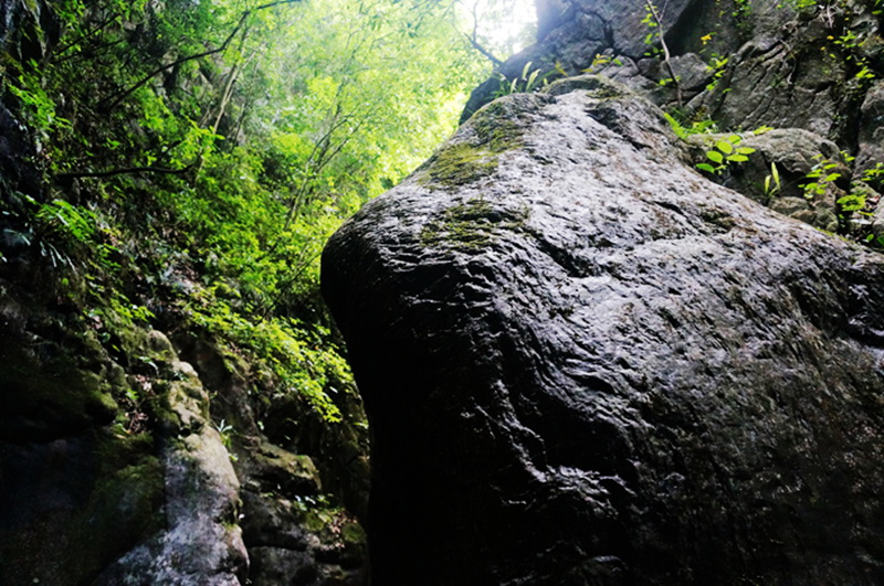 dsc02119_.jpg