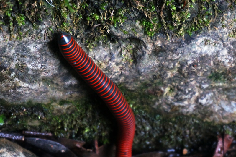 dsc02136_.jpg