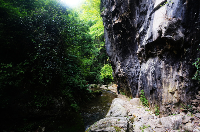 dsc02138_.jpg