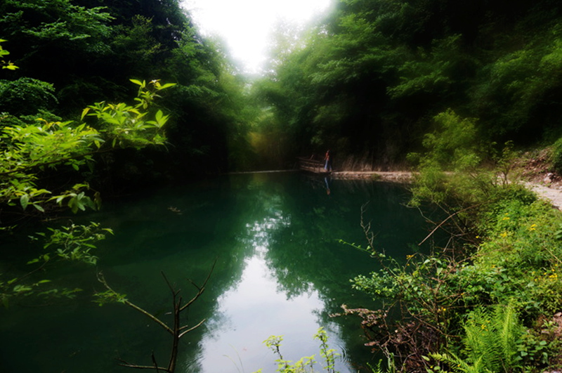 dsc02140_.jpg