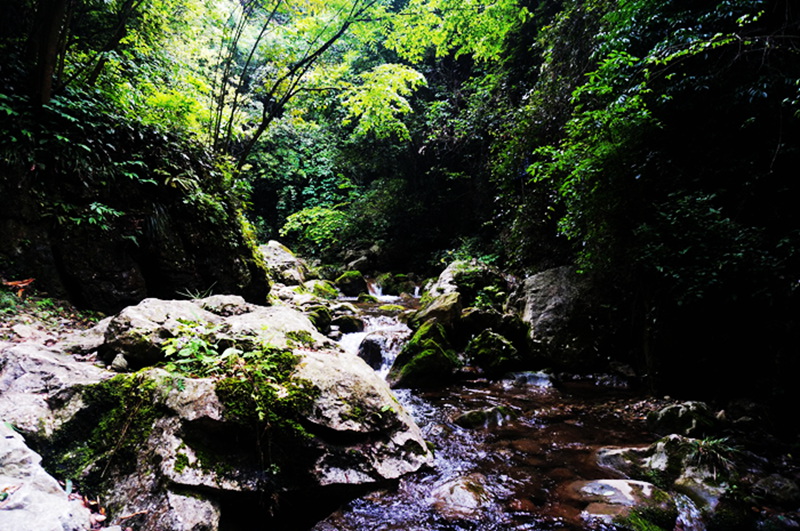 dsc02139_.jpg