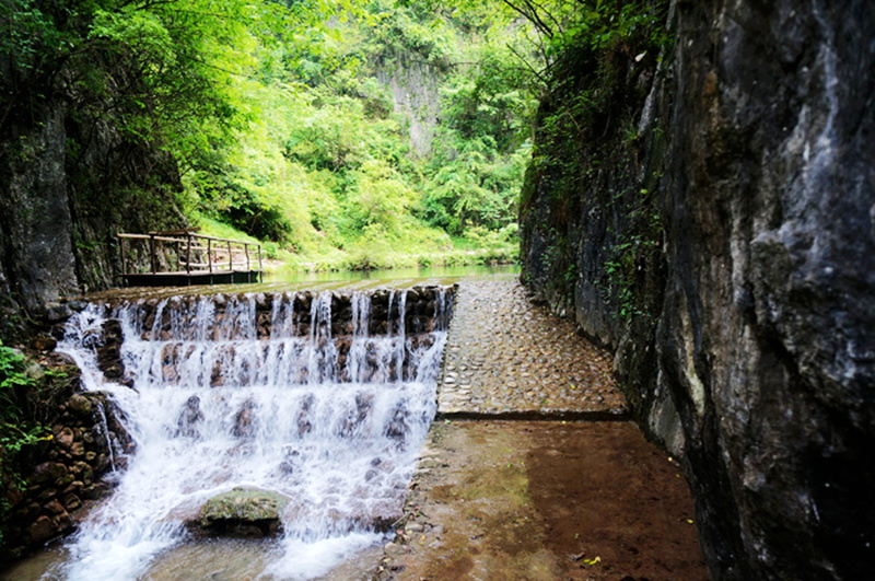 dsc02141_.jpg