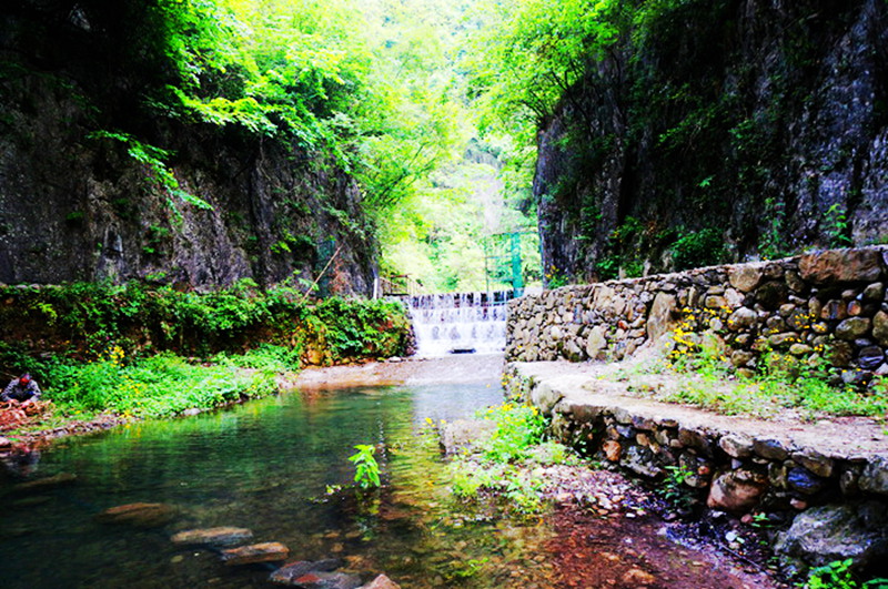 dsc02142_.jpg