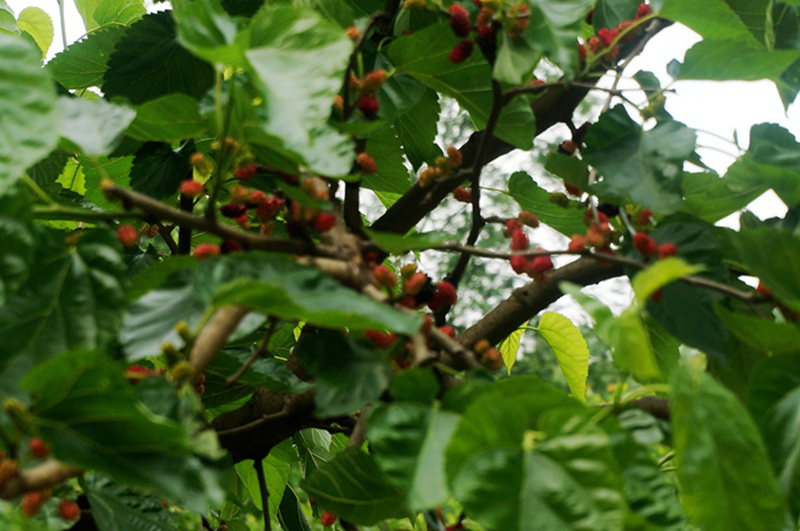 dsc02143_.jpg