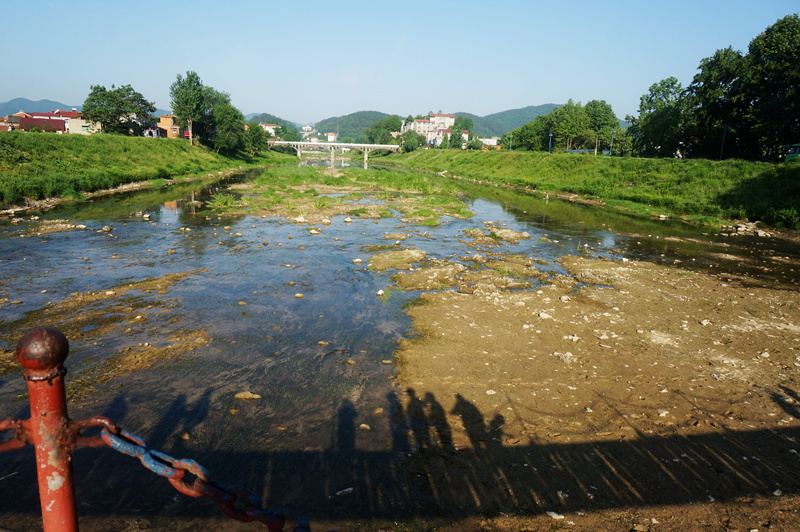 dsc02174_.jpg