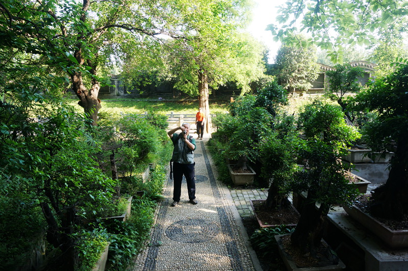 dsc02201_.jpg