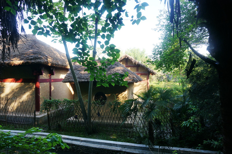 dsc02207_.jpg