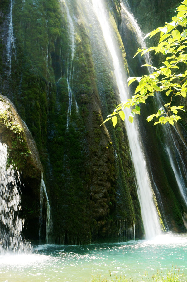 dsc02289_.jpg