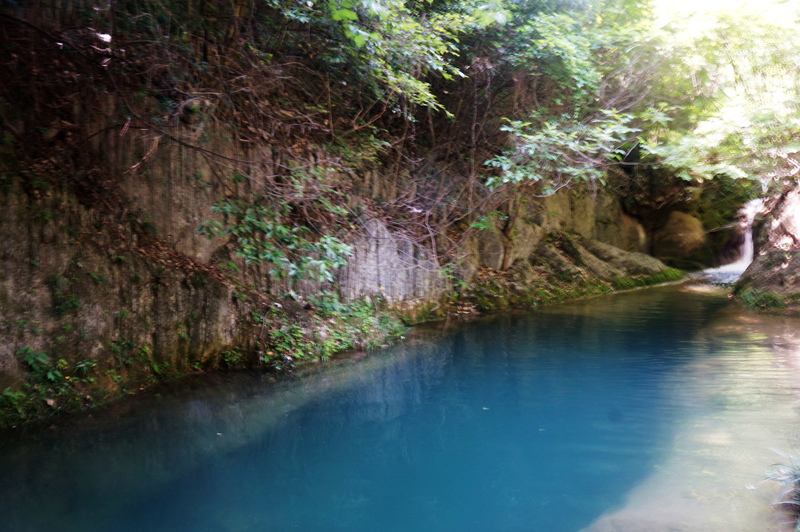 dsc02275_.jpg