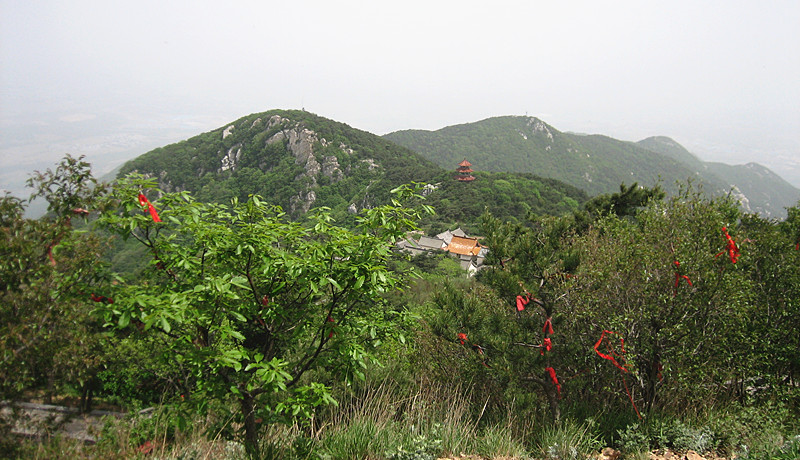img_2750_1.jpg