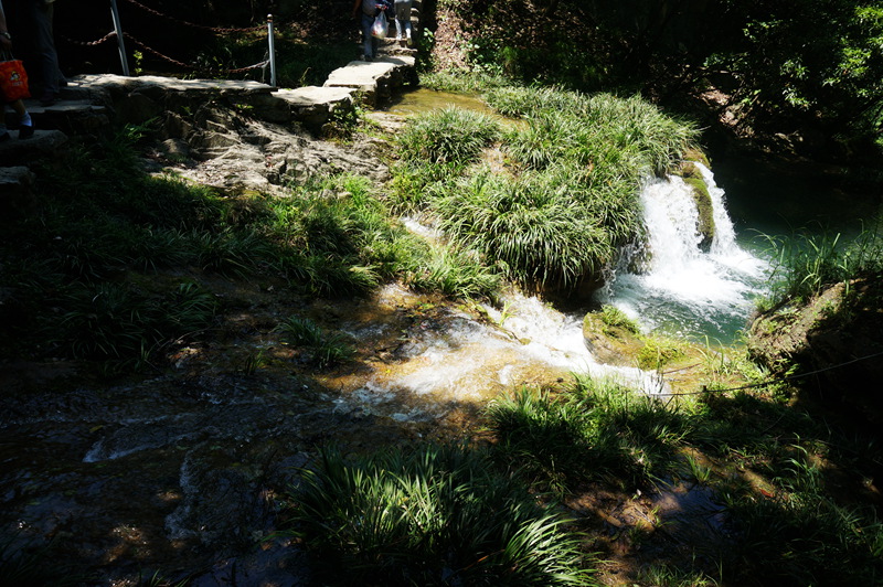 dsc02277_.jpg