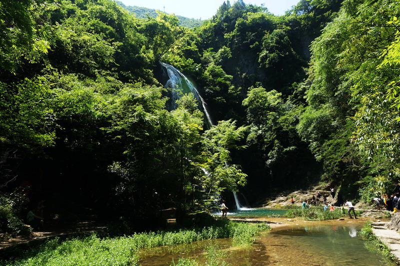 dsc02284_.jpg