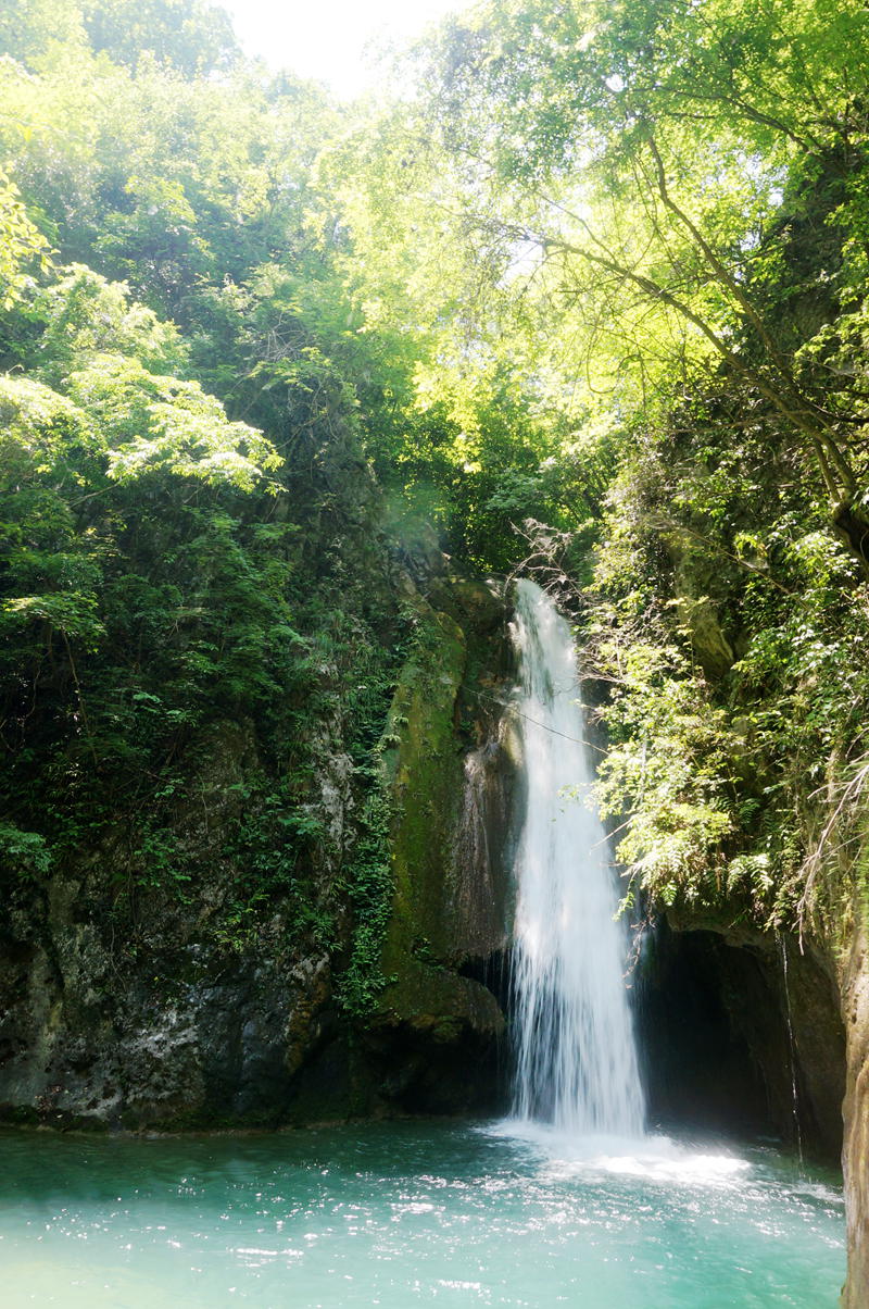 dsc02328_.jpg