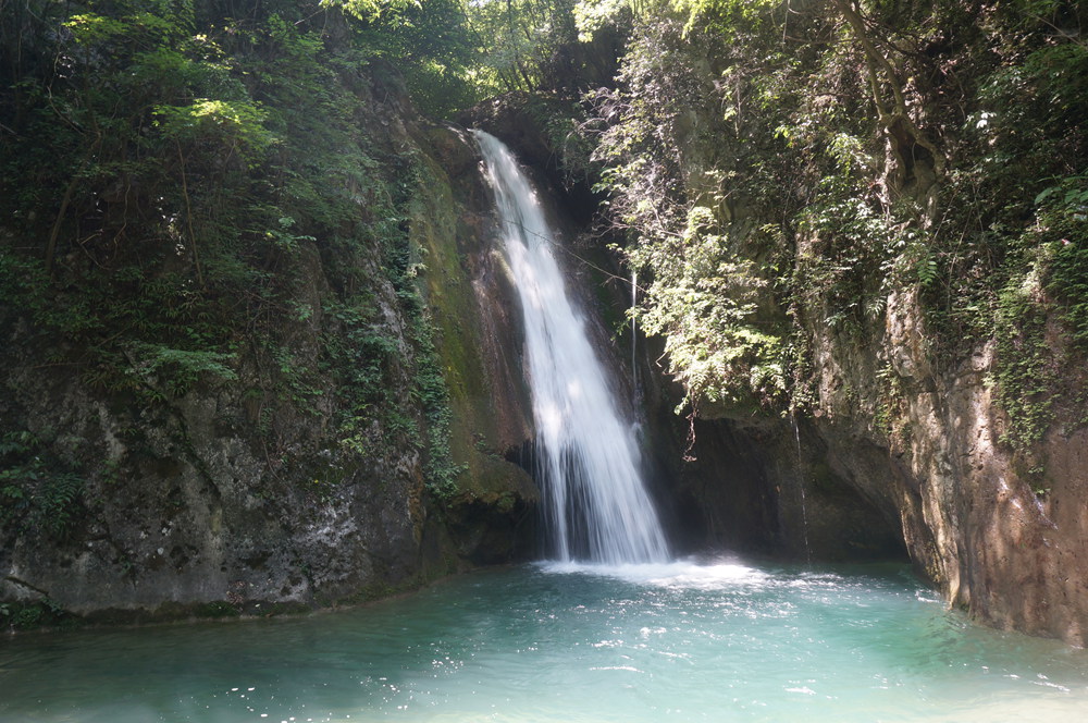 dsc02319_.jpg