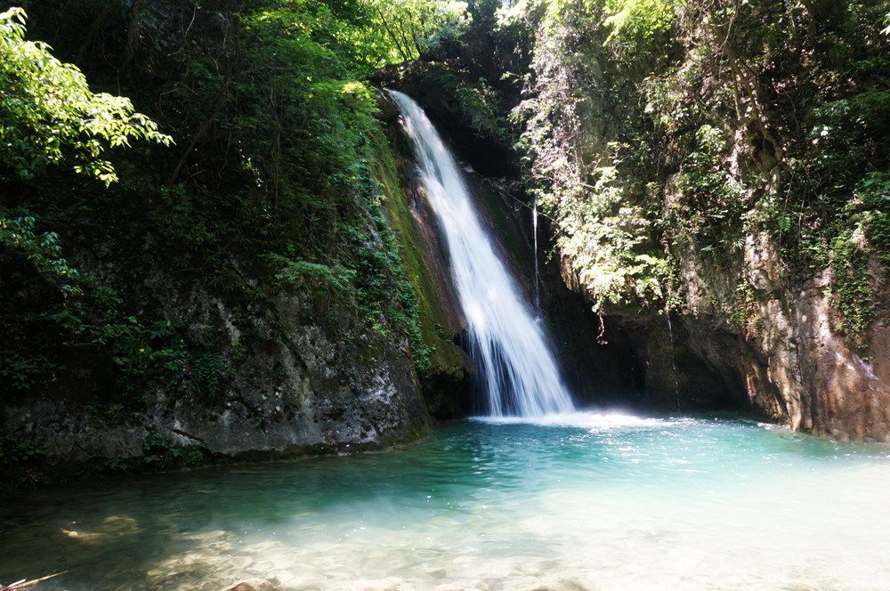 dsc02321_.jpg