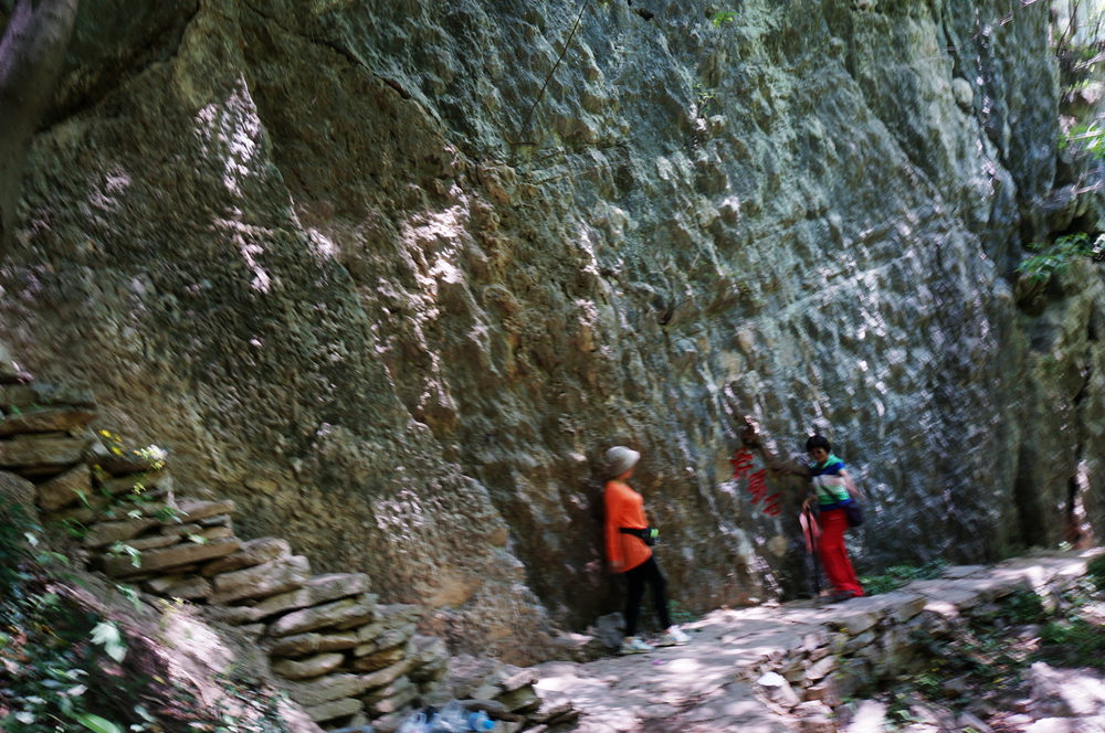 dsc02331_.jpg