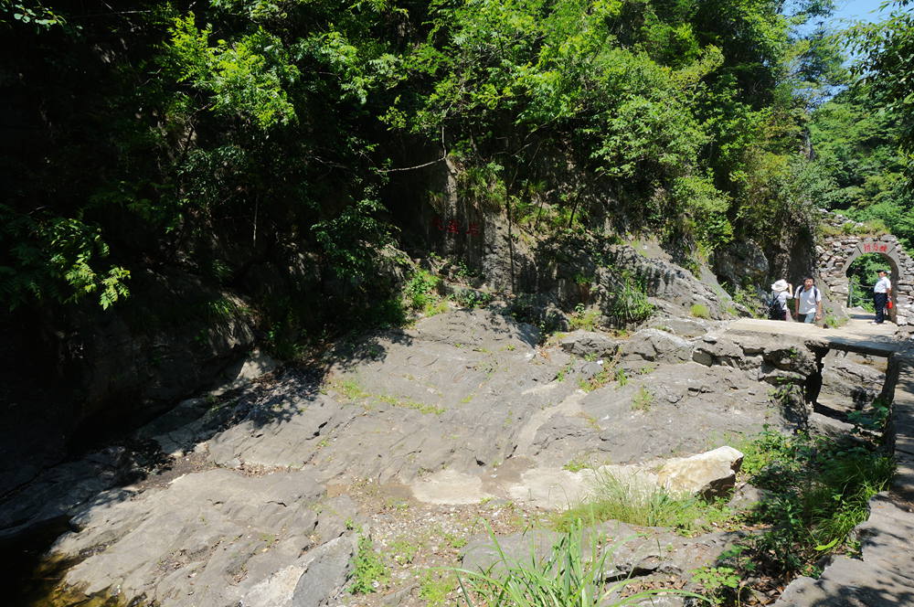 dsc02363_.jpg