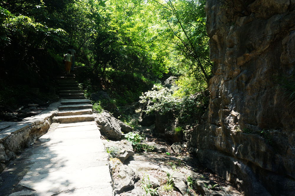 dsc02366_.jpg