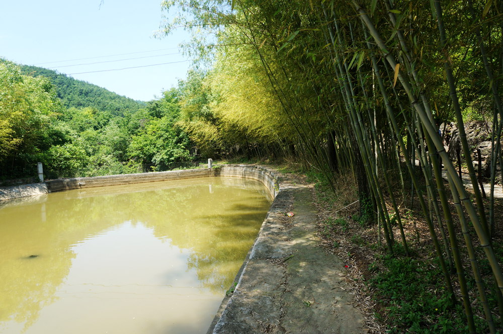 dsc02371_.jpg