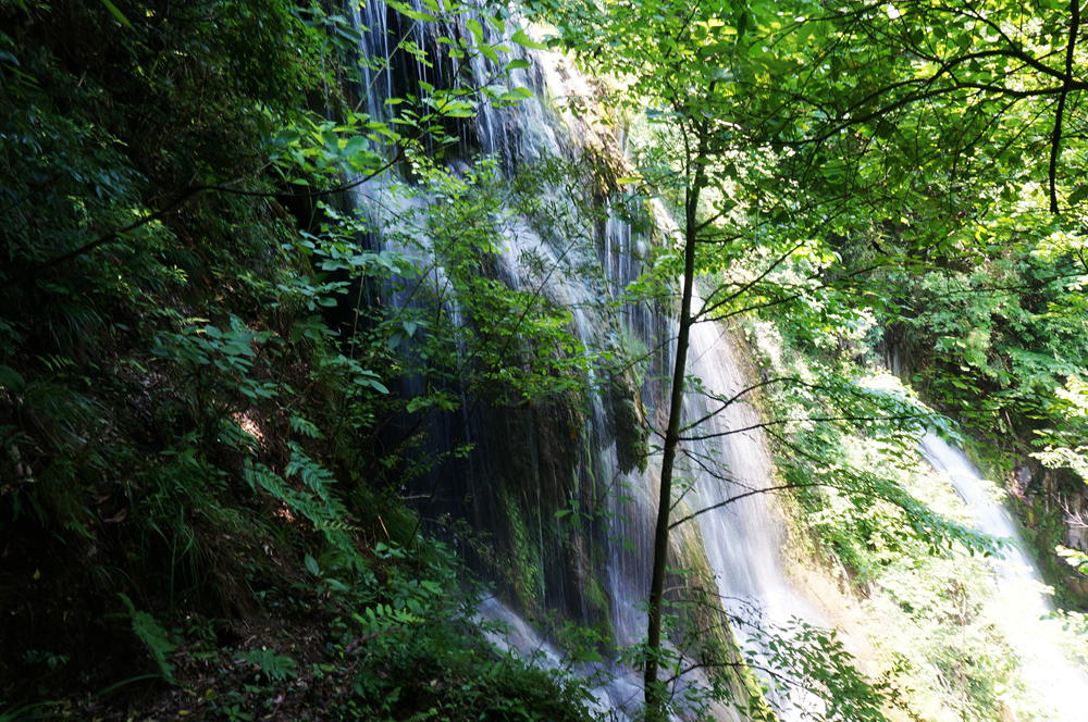 dsc02357_.jpg