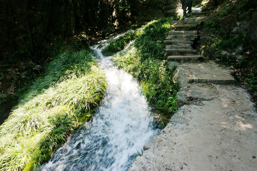 dsc02359_.jpg