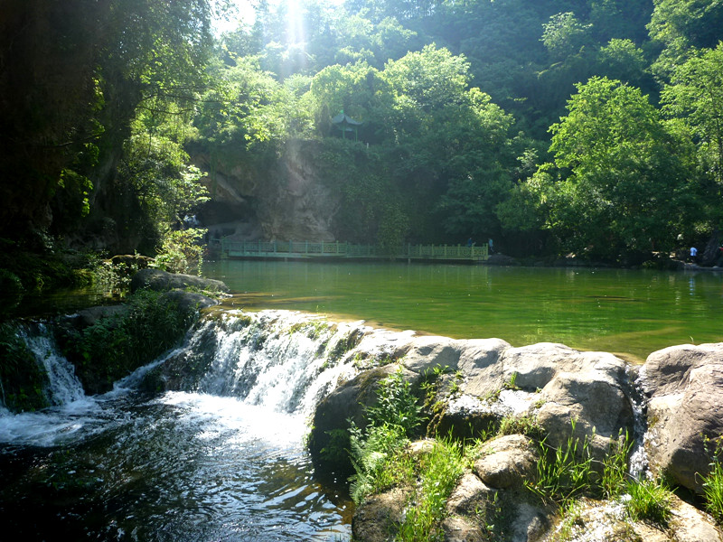 p1140944_.jpg