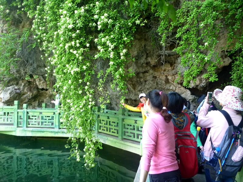 p1140950_.jpg