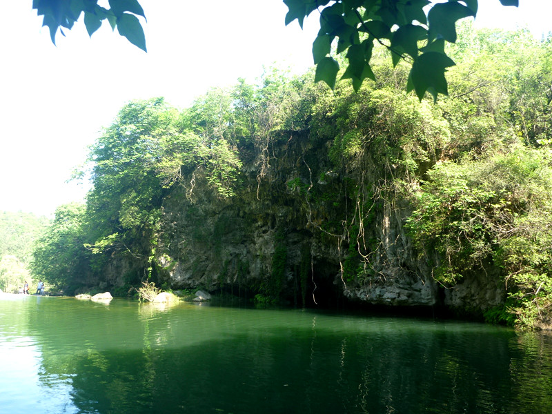 p1140954_.jpg