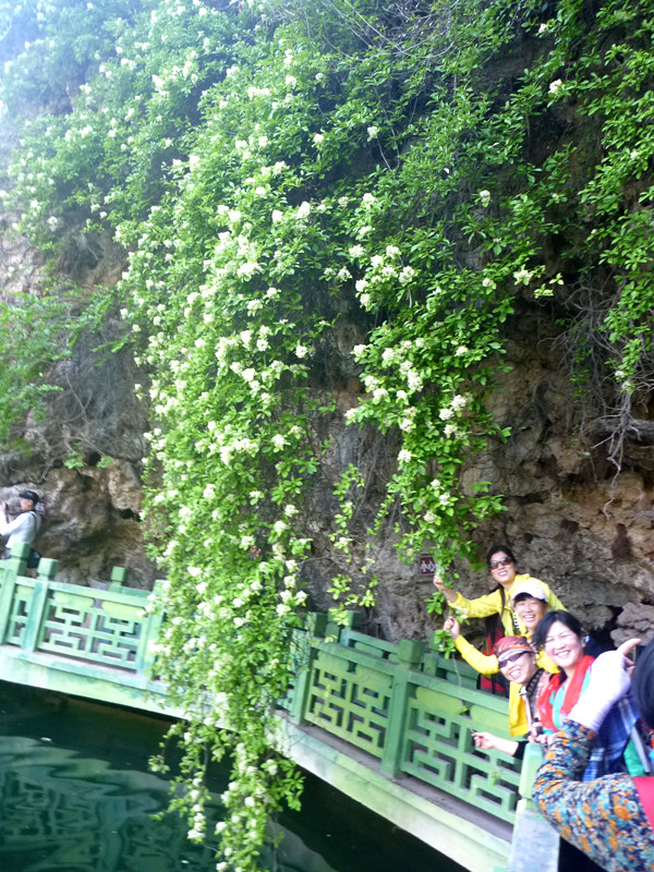 p1140953_.jpg