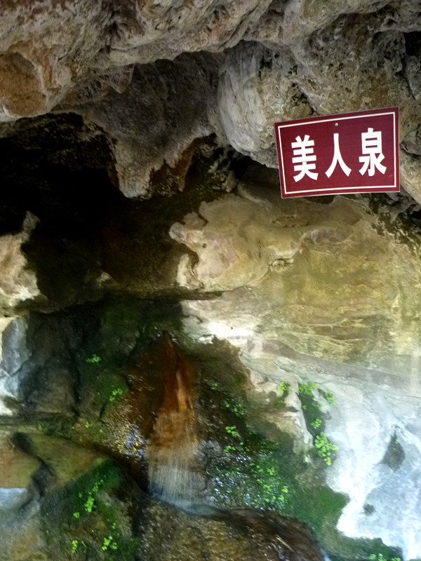 p1140967_.jpg