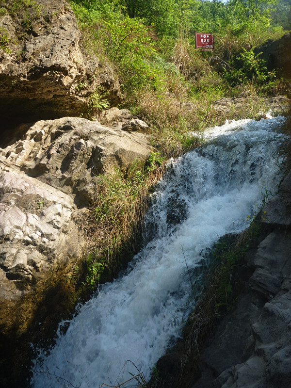p1140969_.jpg