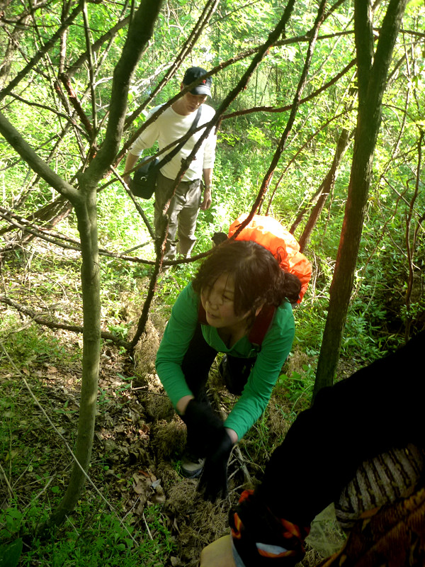 p1140981_.jpg