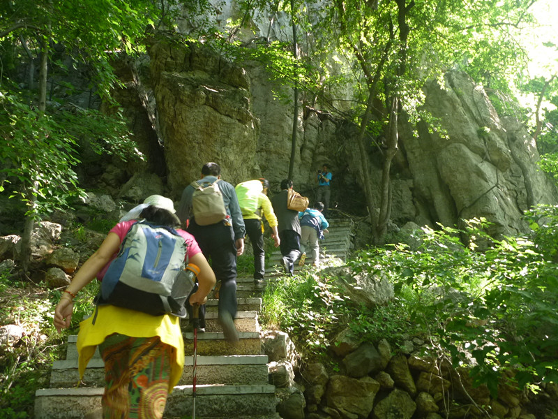 p1150039_.jpg
