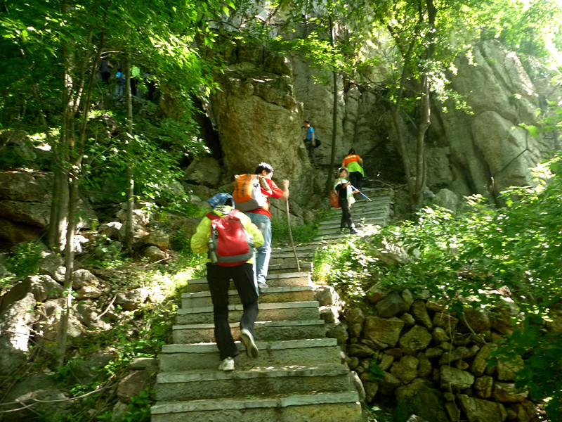 p1150042_.jpg