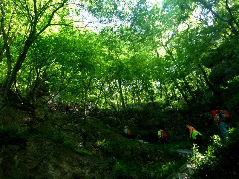 p1150047_.jpg