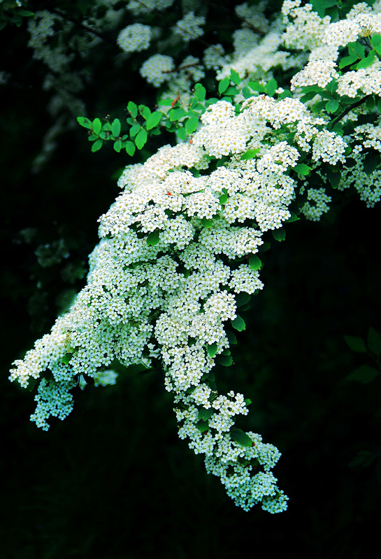 img_7219ab.jpg