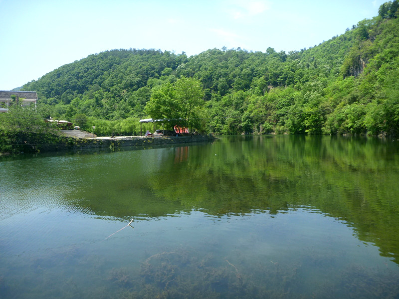 p1150138_.jpg