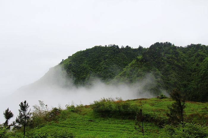 _mg_4769.jpg