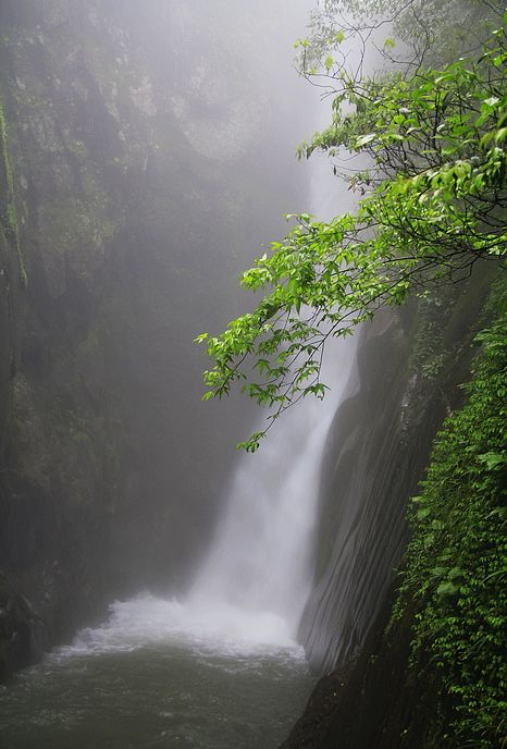 _mg_4825.jpg